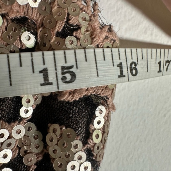 Tadashi Shoji Paillette Embroidered Antique Pink Lace and Sequin Dress Size 4 - Picture 16 of 17